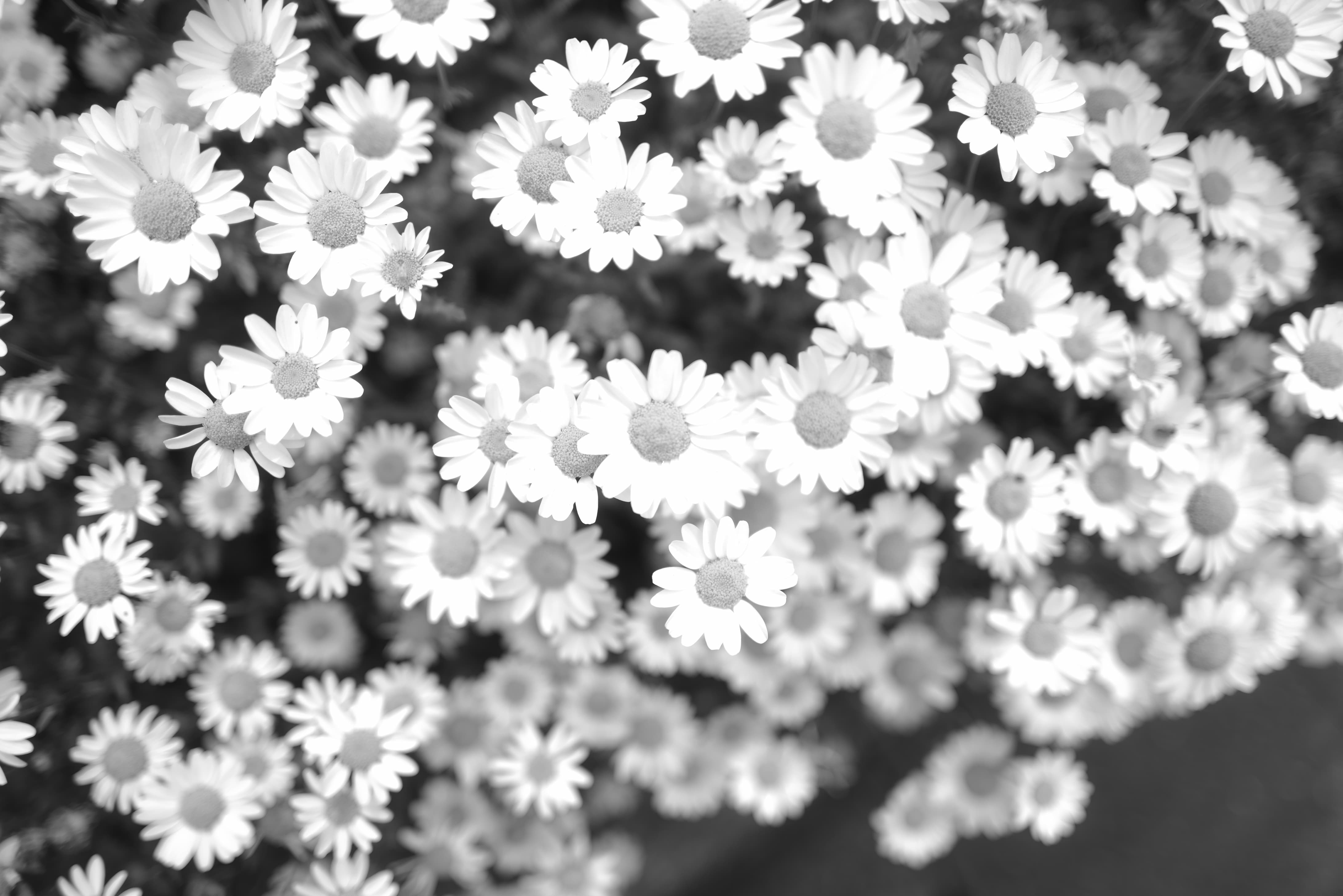 Amusement Parks in Dhaka – Tourist Places in Bangladesh